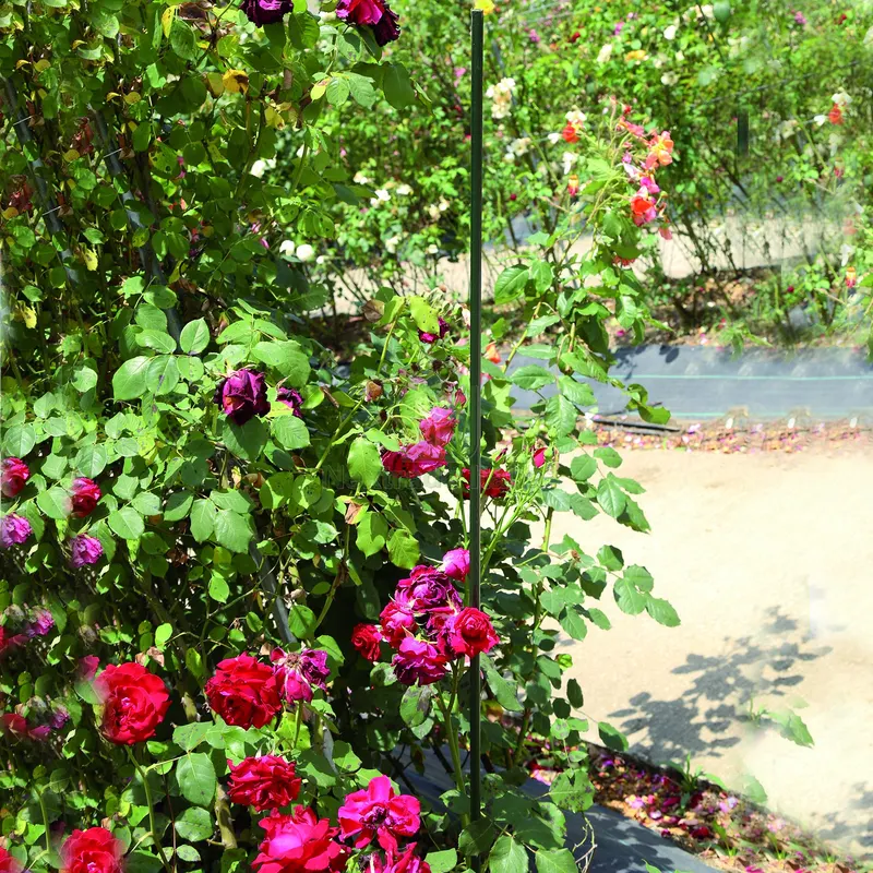 25PZ SOSTEGNO IN ACCIAIO PER PIANTE E ORTAGGI cm. 75 — Attrezzi da giardino — rif. FERX.VIT52744 — foto 2 25PZ SOSTEGNO IN ACCIAIO PER PIANTE E ORTAGGI cm. 75 — Attrezzi da giardino — rif. FERX.VIT52744 — foto 2