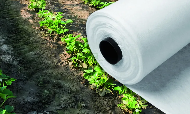 Telo di Protezione Antigelo a Rotolo in TNT mt. 2x250 — Lubrificanti e oli — rif. FERX.VIT60136 Telo di Protezione Antigelo a Rotolo in TNT mt. 2x250 — Lubrificanti e oli — rif. FERX.VIT60136