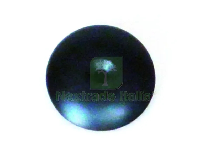 10PZ VALVOLA DI FONDO PER POMPE LT.2 / LT.6 — Rubinetti e valvole — rif. FERX.VIT41774 10PZ VALVOLA DI FONDO PER POMPE LT.2 / LT.6 — Rubinetti e valvole — rif. FERX.VIT41774