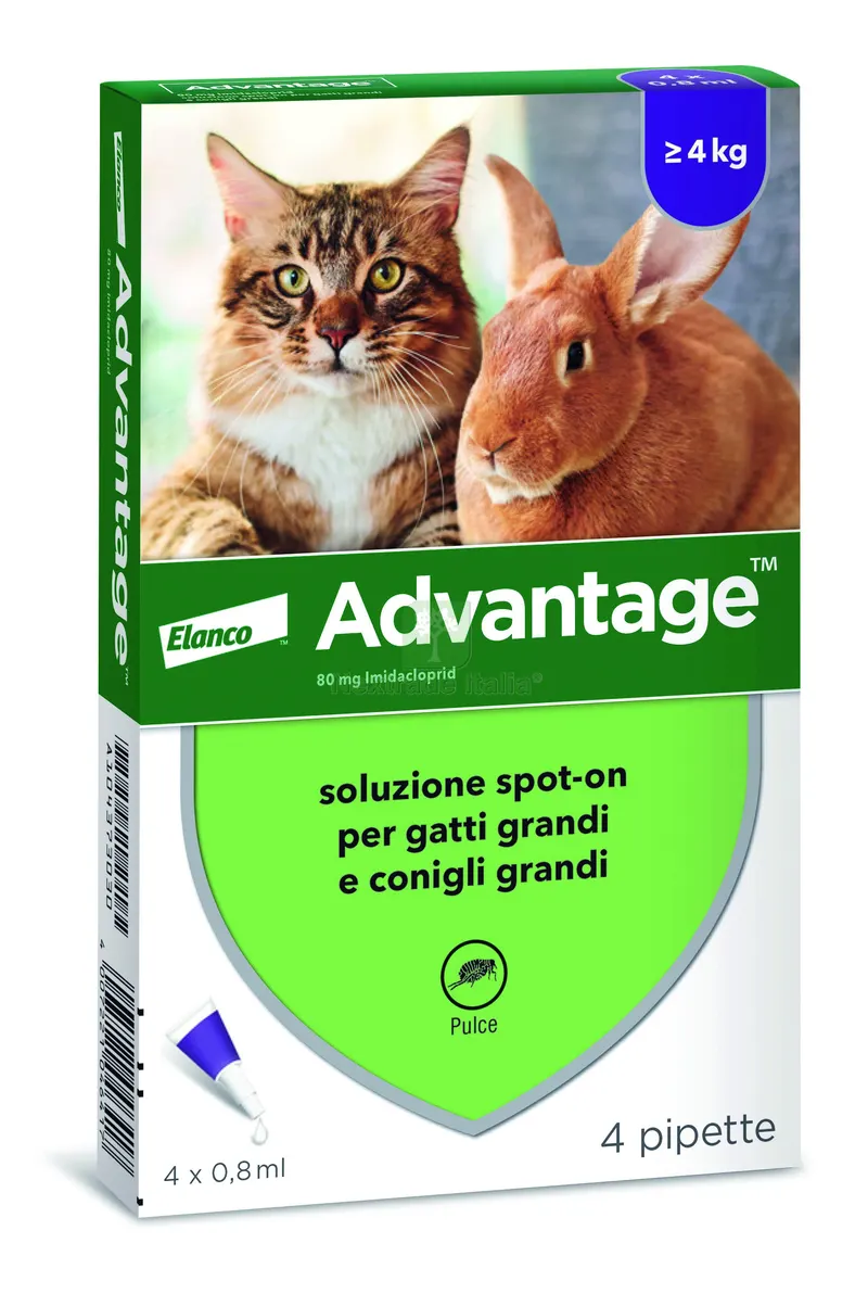 ANTIPARASSITARIO ADVANTAGE PER GATTI E CONIGLI superiori a kg. 4 (4 pipette — Protezione piante e sementi — rif. FERX.VIT28942 ANTIPARASSITARIO ADVANTAGE PER GATTI E CONIGLI superiori a kg. 4 (4 pipette — Protezione piante e sementi — rif. FERX.VIT28942