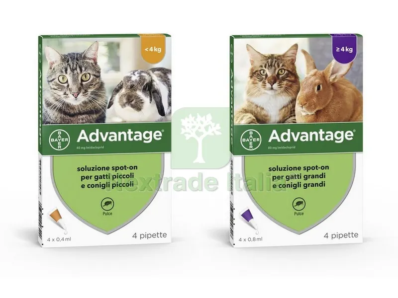ANTIPARASSITARIO ADVANTAGE PER GATTI E CONIGLI inferiori a kg. 4 (4 pipett — Protezione piante e sementi — rif. FERX.VIT28941 ANTIPARASSITARIO ADVANTAGE PER GATTI E CONIGLI inferiori a kg. 4 (4 pipett — Protezione piante e sementi — rif. FERX.VIT28941