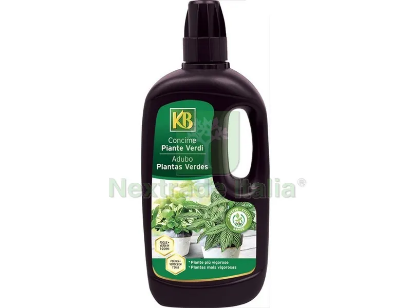 12PZ CONCIME LIQUIDO PIANTE VERDI lt. 1 — Protezione piante e sementi — rif. FERX.VIT47871 12PZ CONCIME LIQUIDO PIANTE VERDI lt. 1 — Protezione piante e sementi — rif. FERX.VIT47871