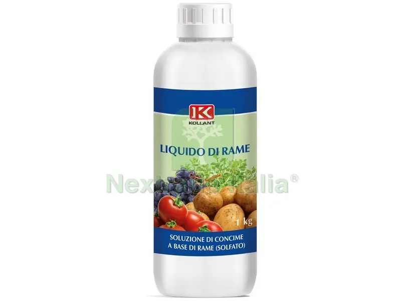 12PZ CONCIME LIQUIDO DI RAME kg. 1 — Protezione piante e sementi — rif. FERX.VIT47917 12PZ CONCIME LIQUIDO DI RAME kg. 1 — Protezione piante e sementi — rif. FERX.VIT47917