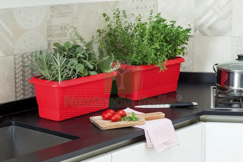FIORIERA RETTANGOLARE PAGLIA NORMAL Col. Corallo cm. 60x20x17,5 h — Vasi e fioriere — rif. FERX.VIT53139 — foto 2 FIORIERA RETTANGOLARE PAGLIA NORMAL Col. Corallo cm. 60x20x17,5 h — Vasi e fioriere — rif. FERX.VIT53139 — foto 2