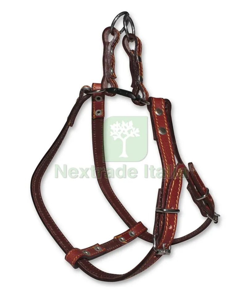 PETTORALE IN CUOIO REGOLABILE fascia cm. 1,5 Medio col. Assortiti — Tempo libero outdoor — rif. FERX.VIT30997 PETTORALE IN CUOIO REGOLABILE fascia cm. 1,5 Medio col. Assortiti — Tempo libero outdoor — rif. FERX.VIT30997