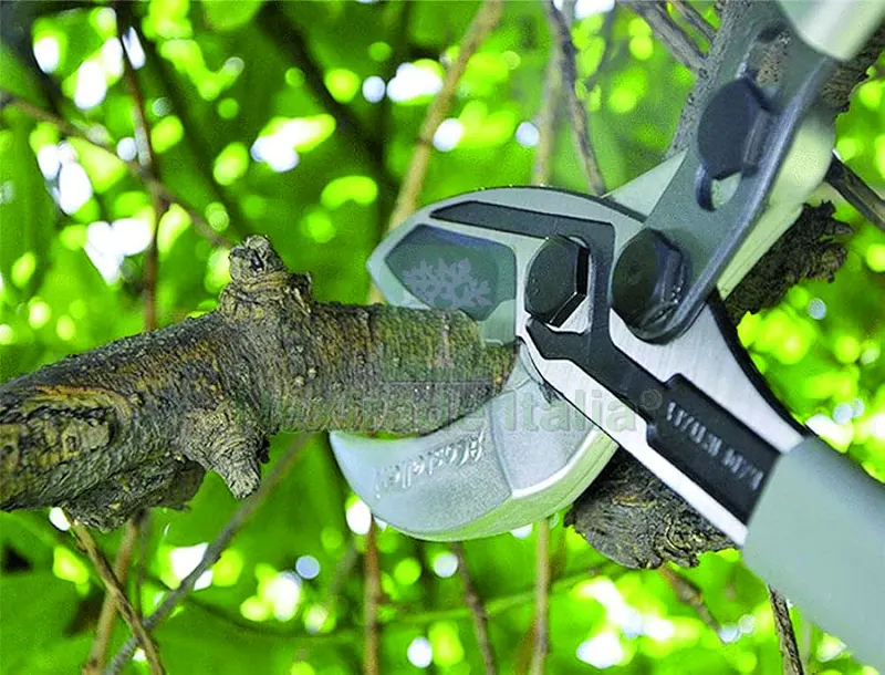 TAGLIARAMI TUCANO C cm. 60 — Attrezzi da giardino — rif. FERX.VIT56644 — foto 2