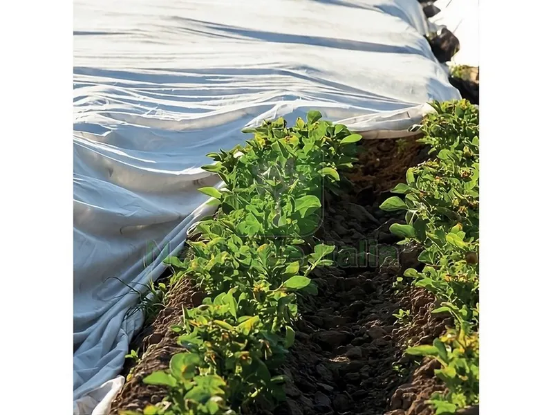 TELO ANTIGELO IN TNT A ROTOLO PER SEMI E PIANTINE mt. 3,20x250 — Lubrificanti e oli — rif. FERX.VIT53400