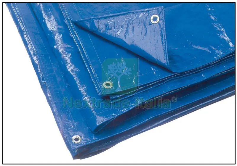TELO OCCHIELLATO MULTIUSO IN POLIETILENE Col. Blu mt. 3x3 — Teli, sacchi e reti agricole — rif. FERX.VIT40722 TELO OCCHIELLATO MULTIUSO IN POLIETILENE Col. Blu mt. 3x3 — Teli, sacchi e reti agricole — rif. FERX.VIT40722