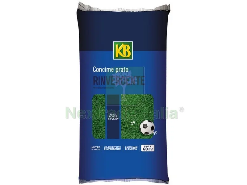 CONCIME GRANULARE RINVERDENTE PER PRATO kg. 5 — Protezione piante e sementi — rif. FERX.VIT52871